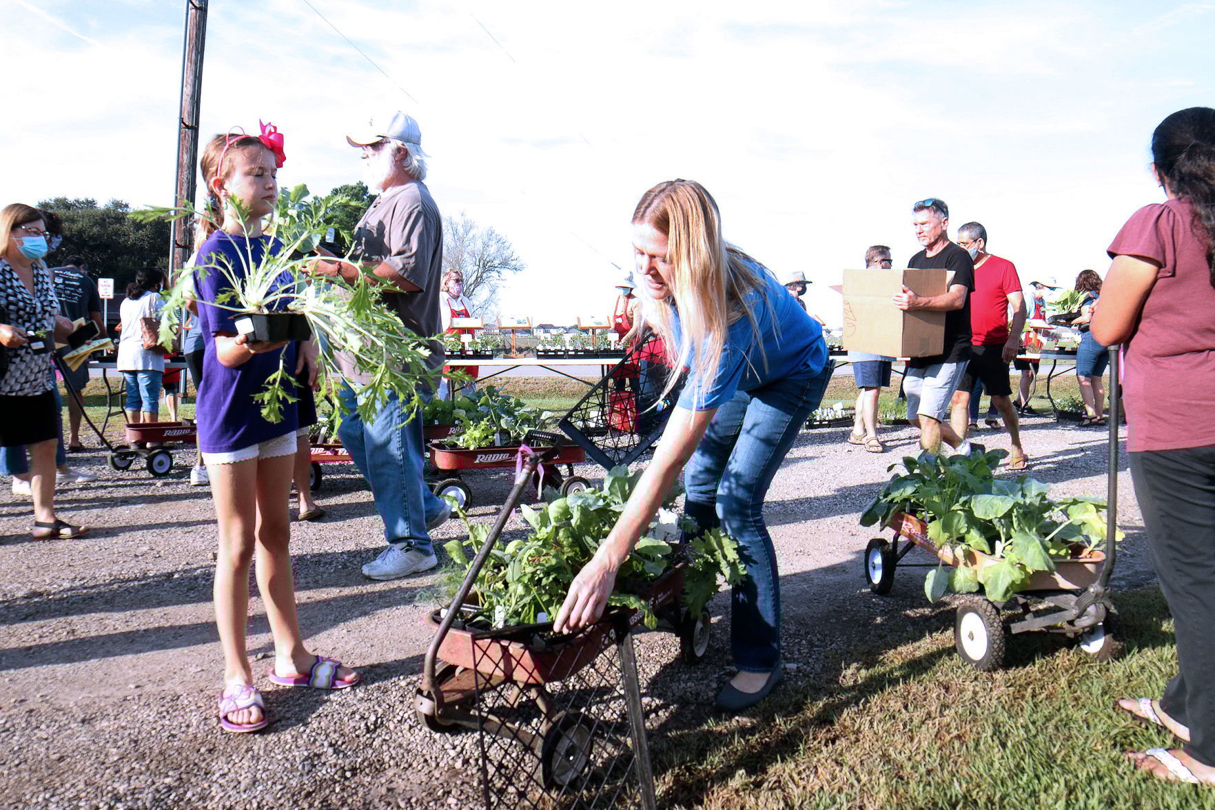2021 Herb & Vegetable Plant Sale